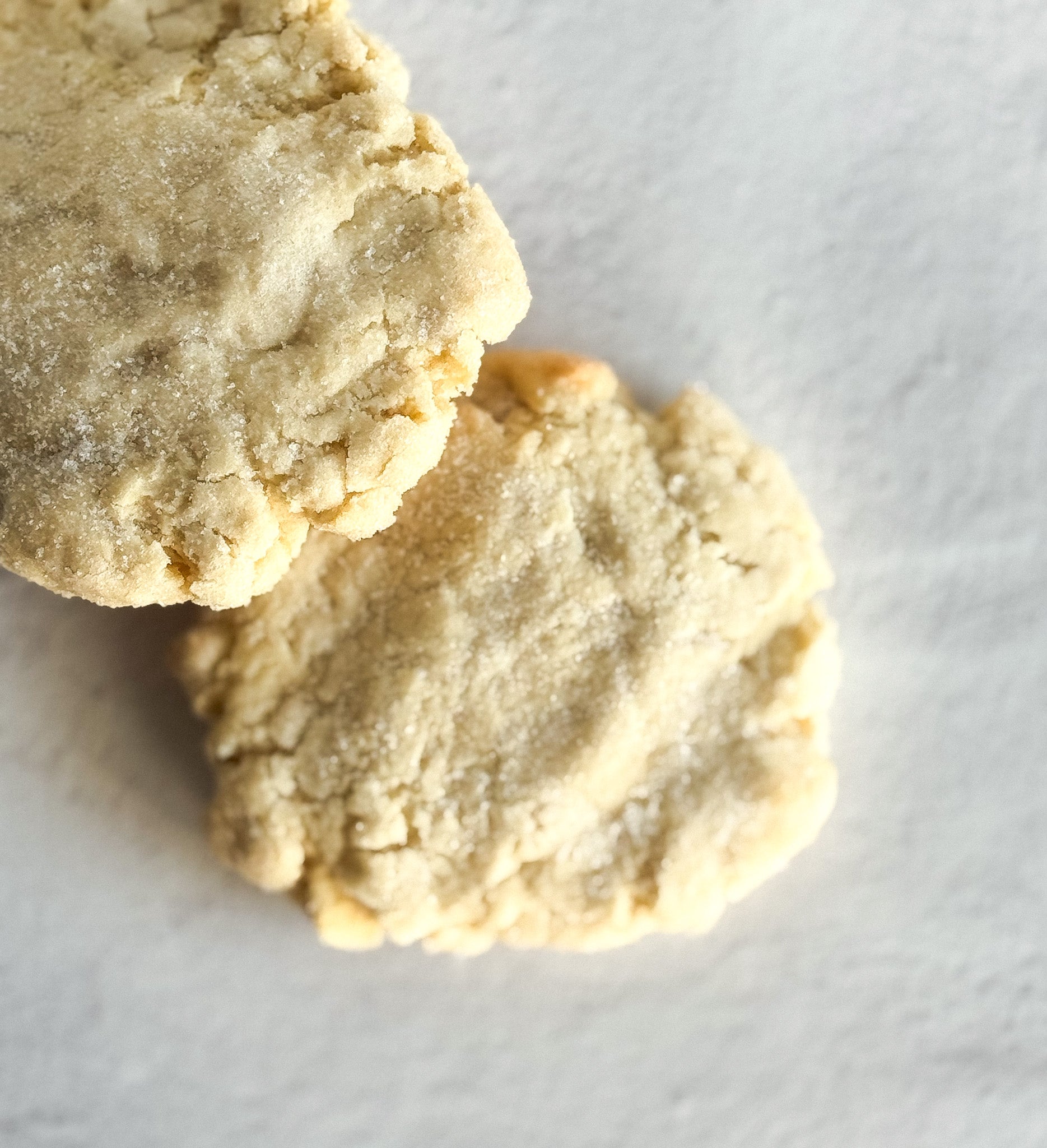 Vanilla Sugar Cookie